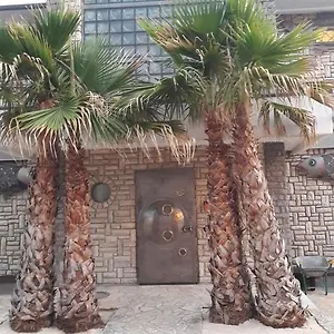 Fischer Haus Sveti Petar (Zadar)